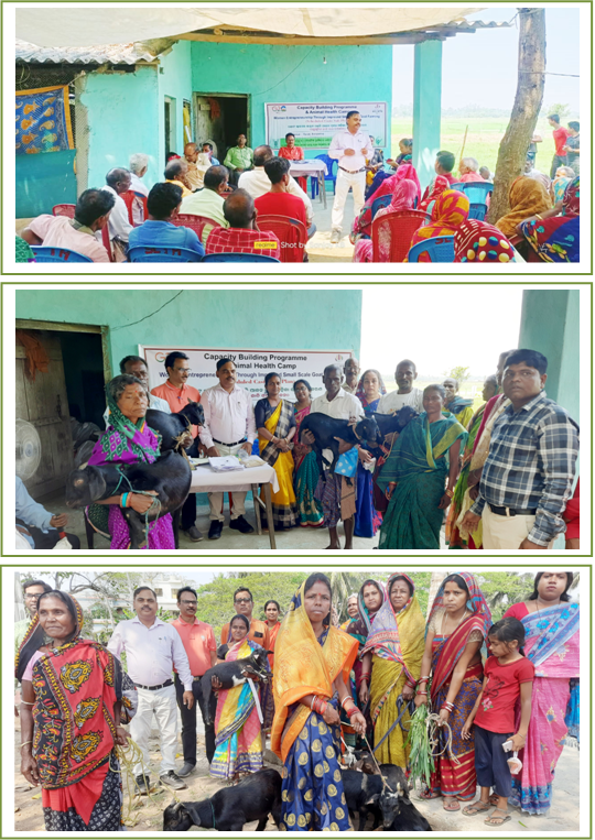 Image of Skill-based capacity building programme