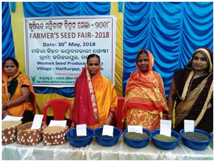 Image of Farmer’s Seed Fair 1