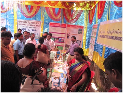 Image of Farmer’s Seed Fair 5