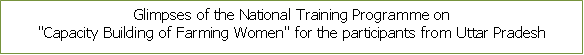 Image of National Training Programme 5