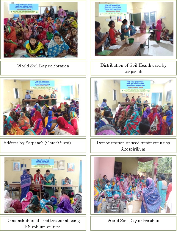 Image of Celebration of World Soil Health Day