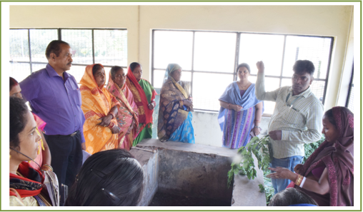 Image of Mushroom cultivation and Vermi-compost 2