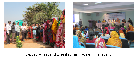 Technology Week for Women in Agriculture 2 Image of Technology Week for Women in Agriculture 2