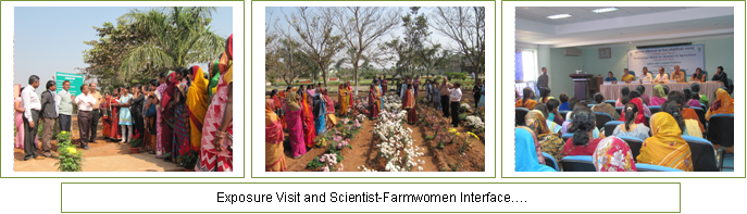 Image of Technology Week for Women 1