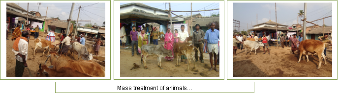 Image of Remote Tribal Village 1